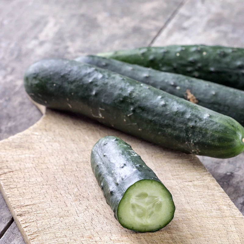 Concombre ‘Peticue’ F1 ( Cucumis sativus )