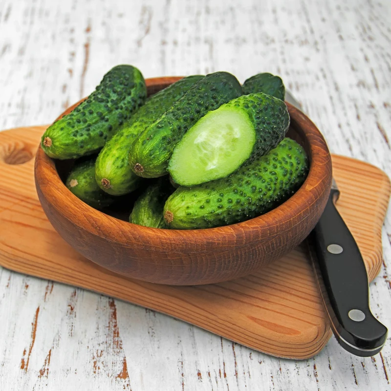 Concombre mini ‘Munch’ F1 ( Cucumis sativus )