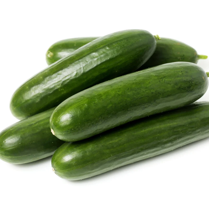 Concombre libanais ‘Magic’ F1 ( Cucumis sativus )