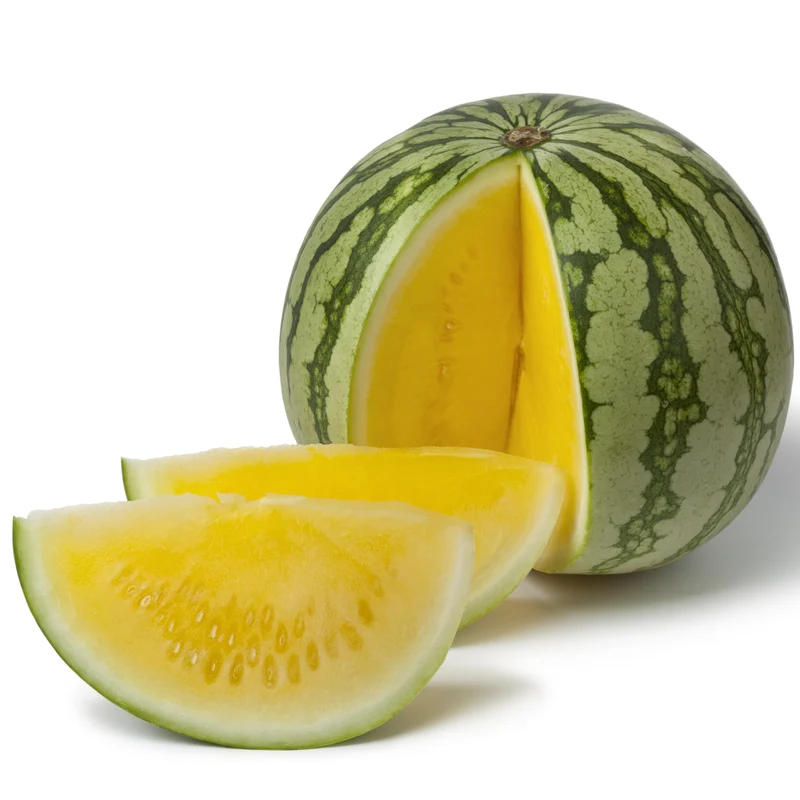 Melon d‘eau jaune ’Amarillo' F1 ( Citrullus lanatus )