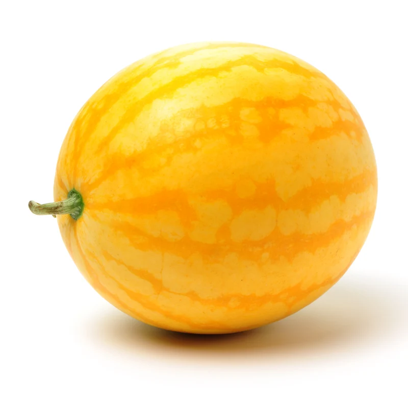 Melon d‘eau ’Golden Crown' F1 ( Citrullus lanatus )