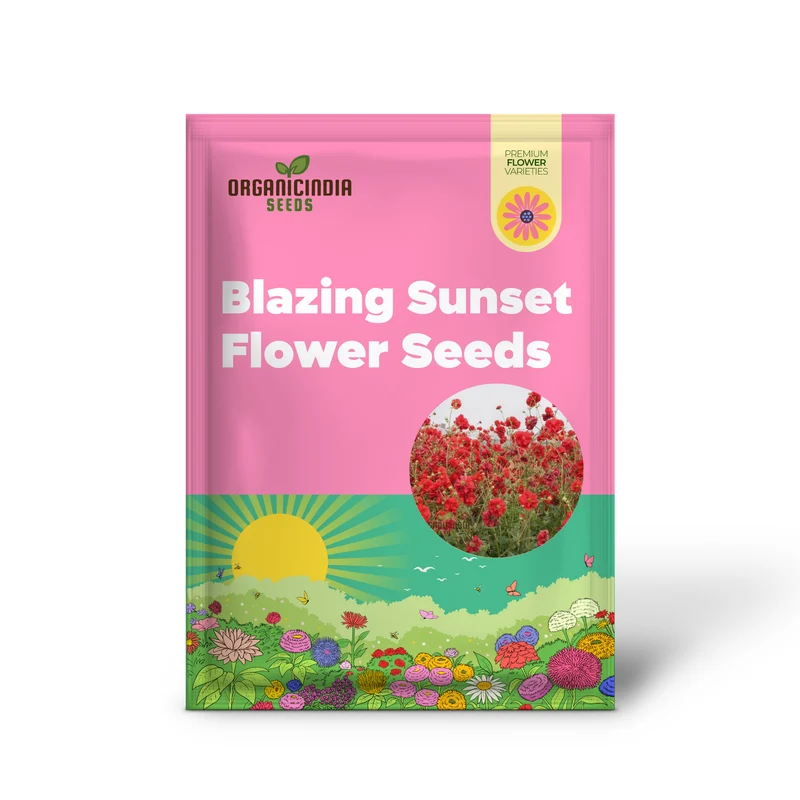 Geum Flora Plena Blazing Sunset Flower Seeds, Premium Garden Seeds for Stunning Blooms Gardening