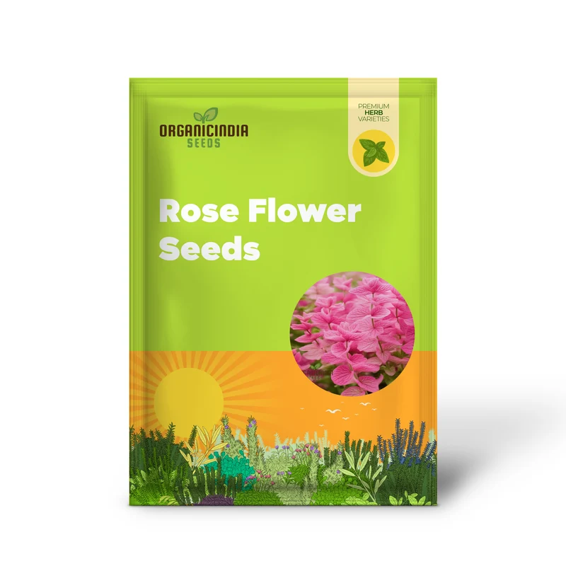 Salvia Say So Rose Seeds – Long-Blooming, Vibrant Garden Variety