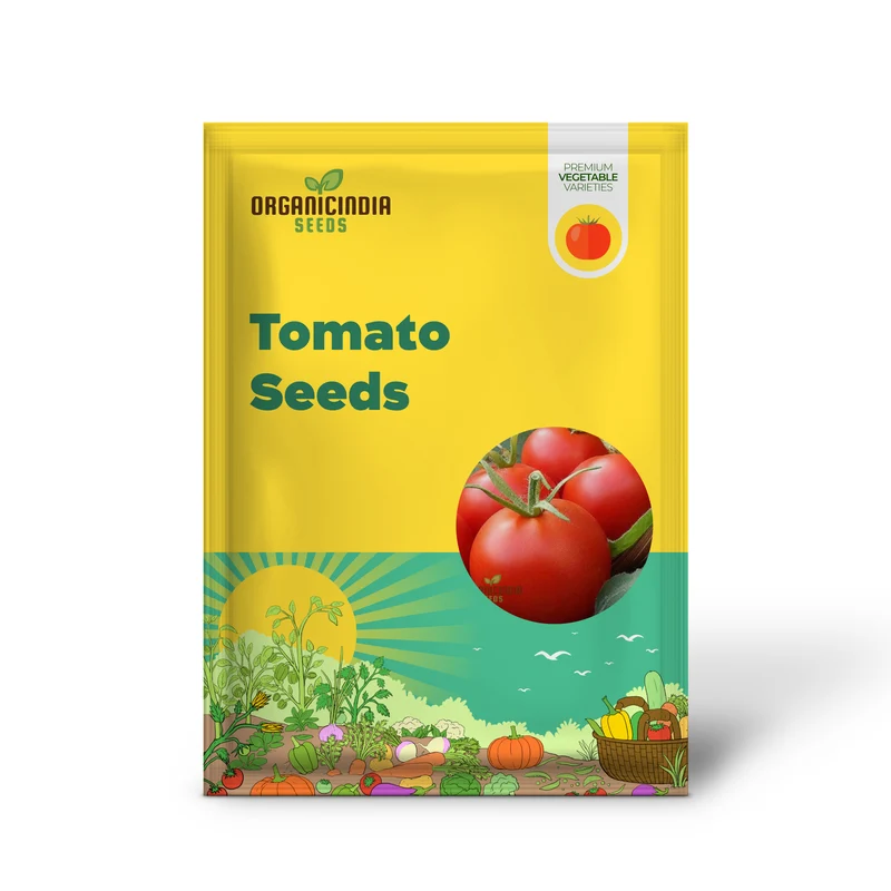 Tomato Seeds 'Moneymaker', a variety known for its reliable yields and exceptional flavor, ideal for vegetable gardeners seeking robust and productive tomato plants