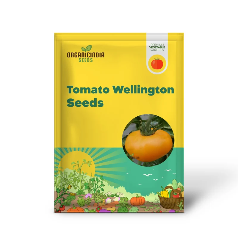 Tomato Orange Wellington Seeds - Grow Vibrant and Flavorful Orange Wellington Tomatoes