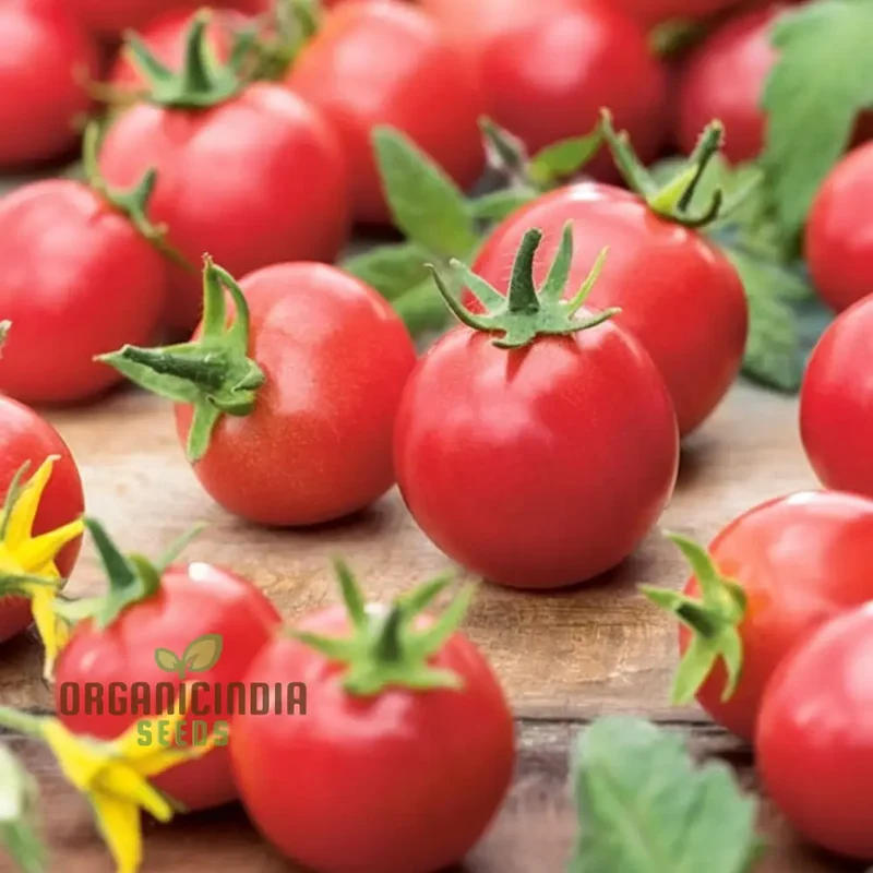 Tomato Rubinka Seeds - Grow Rich and Flavorful Rubinka Tomatoes in Your Garden