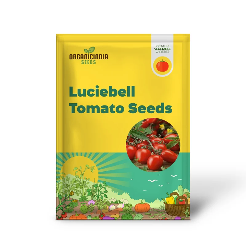 Luciebell Tomato Seeds, Heirloom Vegetable Seeds for Garden Planting, Organic Non-GMO Variety