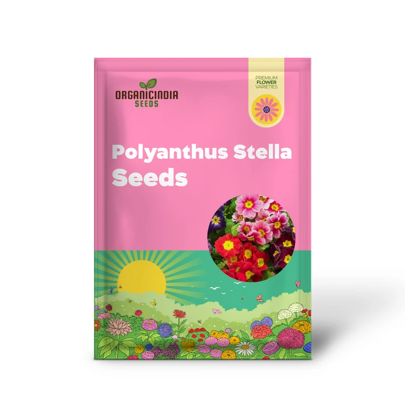 Polyanthus Stella Mixed: A Vibrant and Hardy Addition for Year-Round Color and Beauty