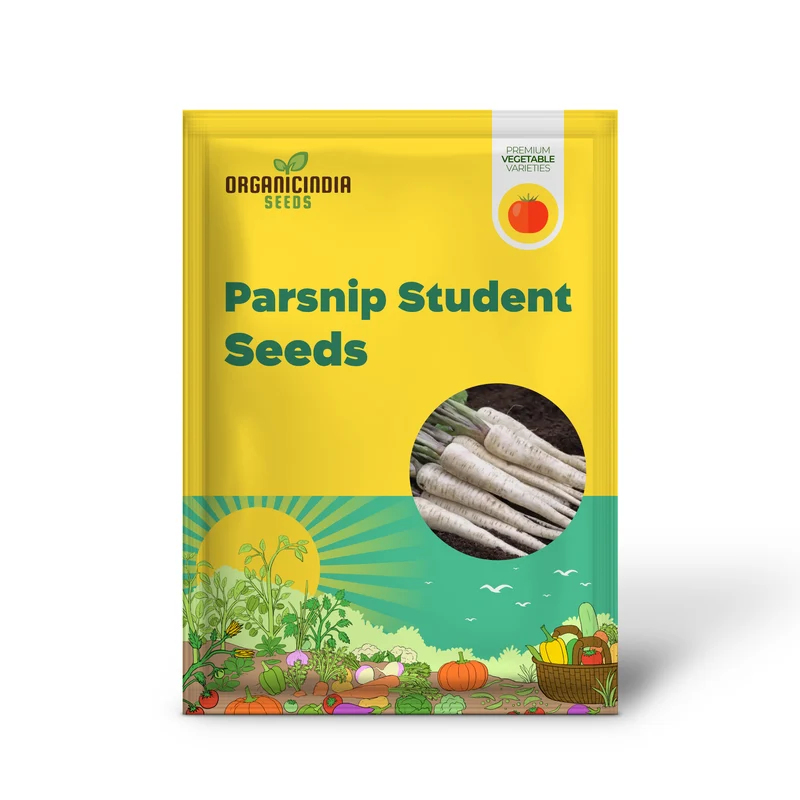 Parsnip Student Vegetable Seeds, Grow Nutritious and Flavorful Parsnips with Expert Tips and Techniques