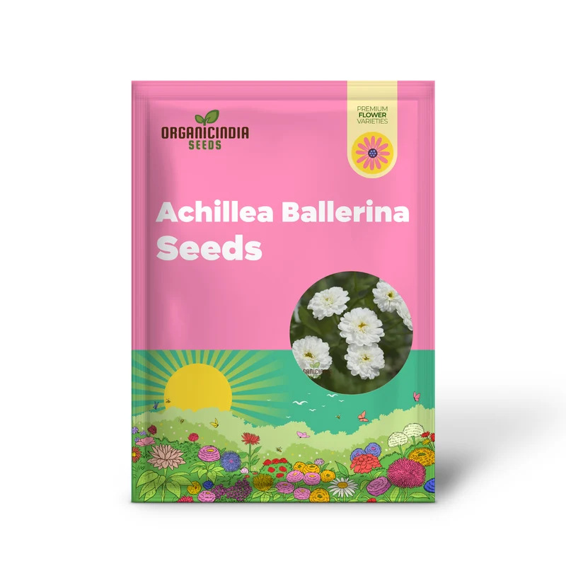 Achillea Ballerina Seeds - Grow Elegant and Graceful Ballerina Yarrow Flowers in Your Garden