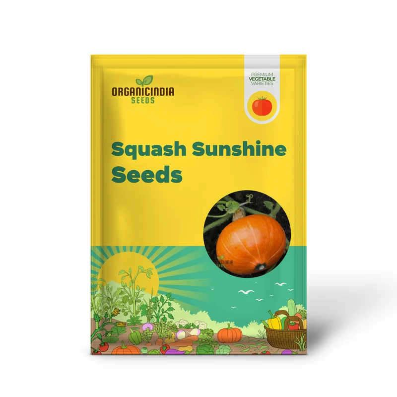 Winter Squash Sunshine Vegetable Seeds For Planting: Expert Gardening Guide for a Bountiful Harvest of Nutritious and Delicious Squash All Winter Long