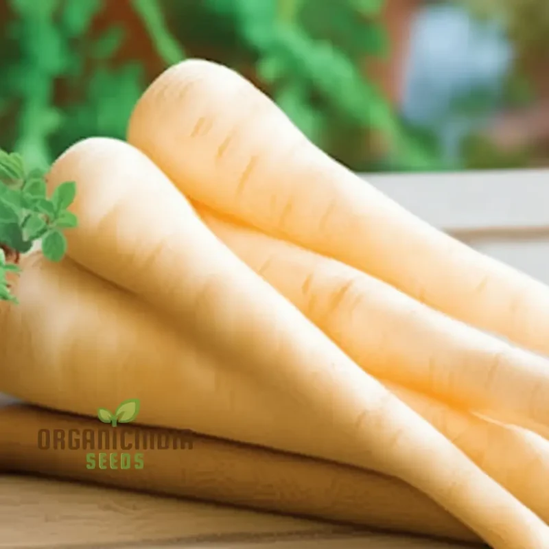 Parsnip Hollow Vegetable Seeds for a Flavorful and Nutritious Harvest