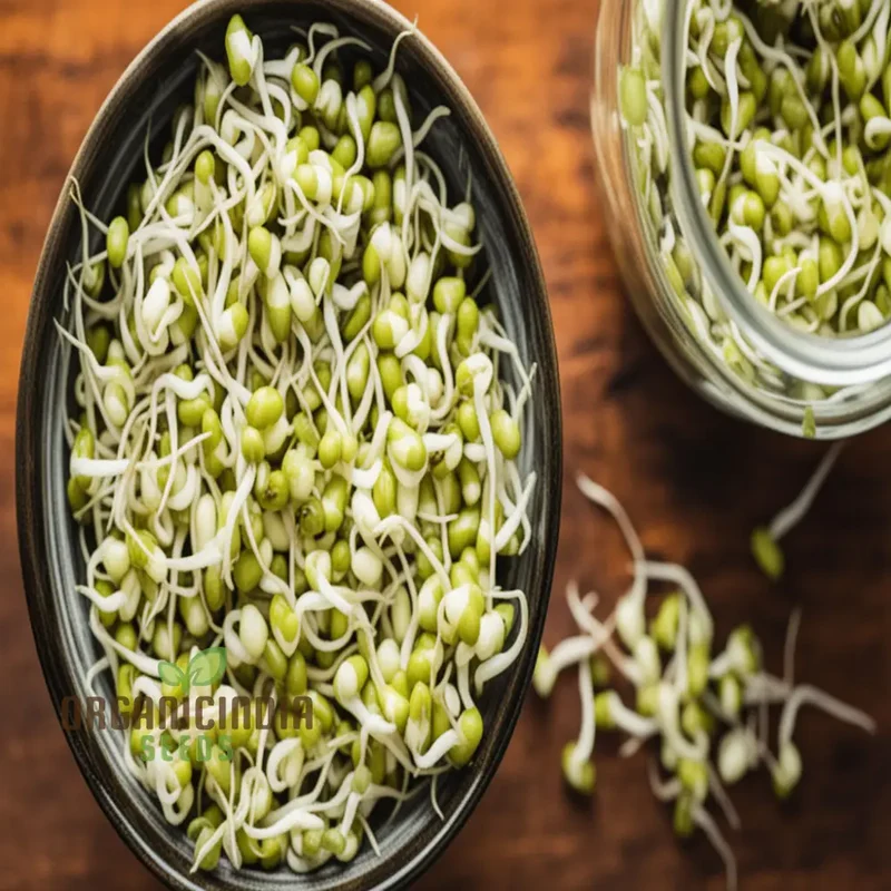 Mung Bean Seeds for Nutritious Sprouts - Gardening & Planting - 100 pcs