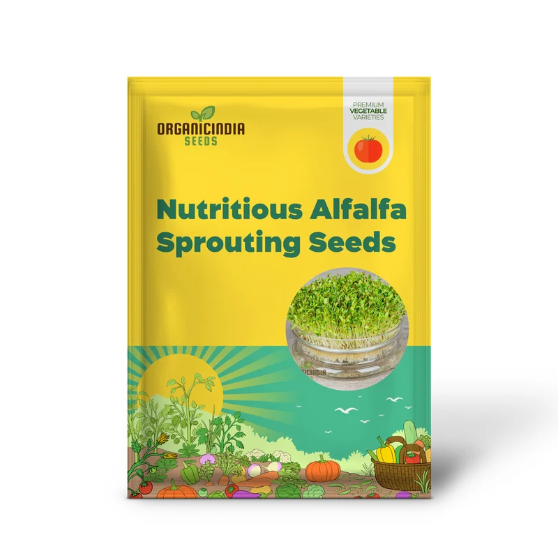 Nutritious Alfalfa Sprouting Seeds: Comprehensive Guide to Planting and Gardening for Homegrown Sprouts and Healthy Living