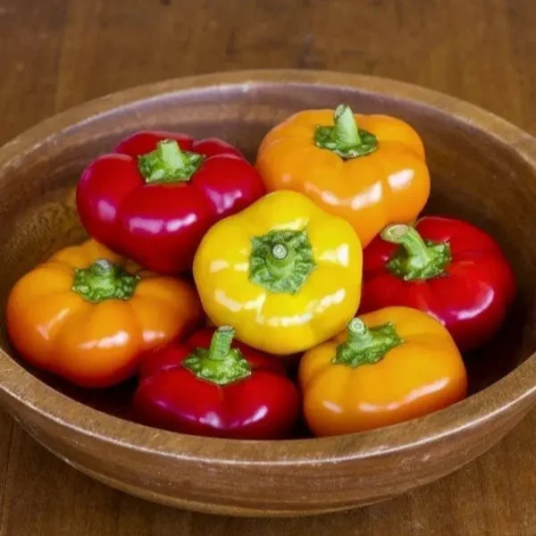 Poivron Hungarian ‘Cheese’ F1 ( Capsicum annuum )