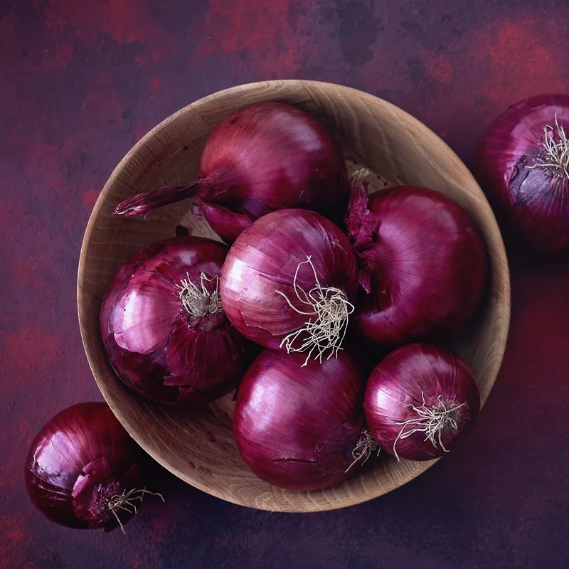 Oignon Red Carpet F1 ( Allium cepa )