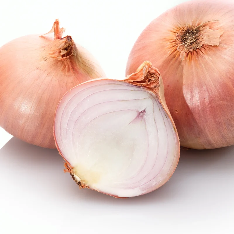 Oignon Blush Rose F1 ( Allium cepa )