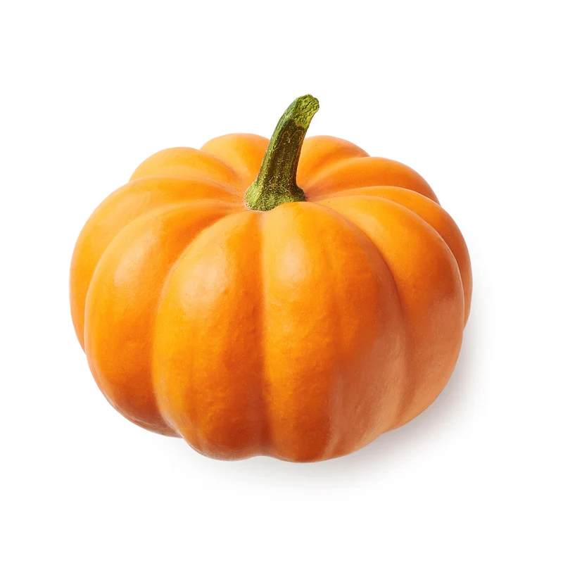 Citrouille ‘Orangita’ F1 ( Cucurbita pepo )