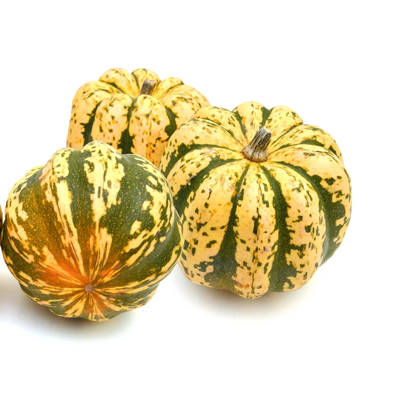 Citrouille ‘Phantomita’ F1 ( Cucurbita pepo )