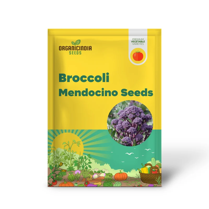BROCCOLI MENDOCINO SEEDS - Cultivate Your Garden with Premium Quality Seeds for Gardening Enthusiasts