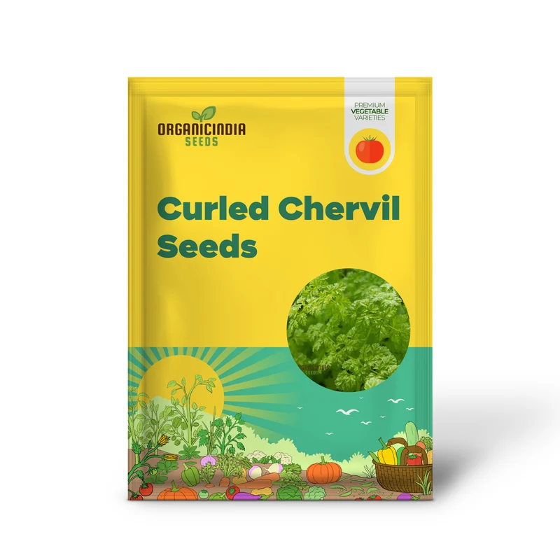 Curled Chervil Seeds for Planting – Heirloom, Fragrant & Easy-Grow Culinary Herb