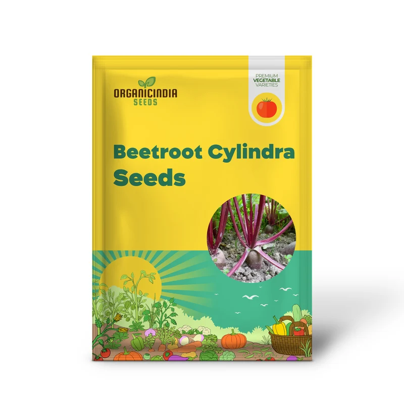 Beetroot Cylindra Seeds for Planting - High-Yield Garden Varietal for Robust Crops