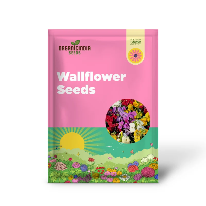 Wallflower Sugar Rush Mix Flower Seeds for Planting