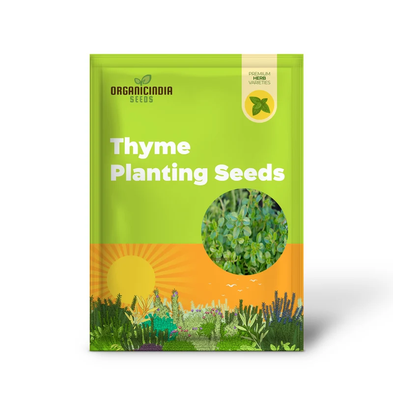 Thyme Seeds – Aromatic Culinary Herb for Versatile Kitchen & Garden Growing