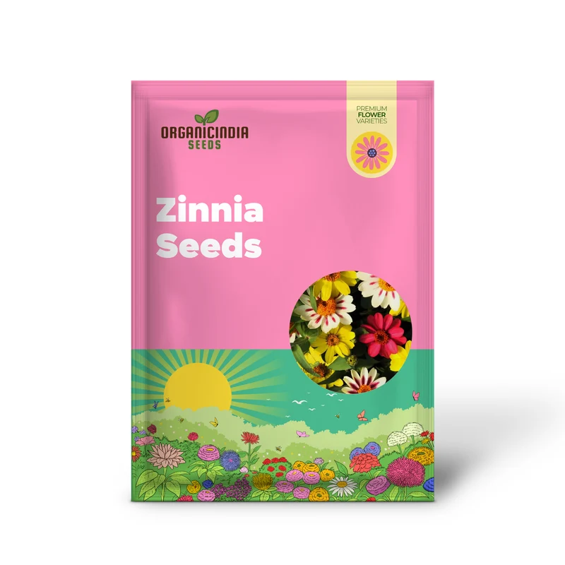 Zinnia Seeds – Raspberry Lemonade Variety for Colorful Garden Blooms