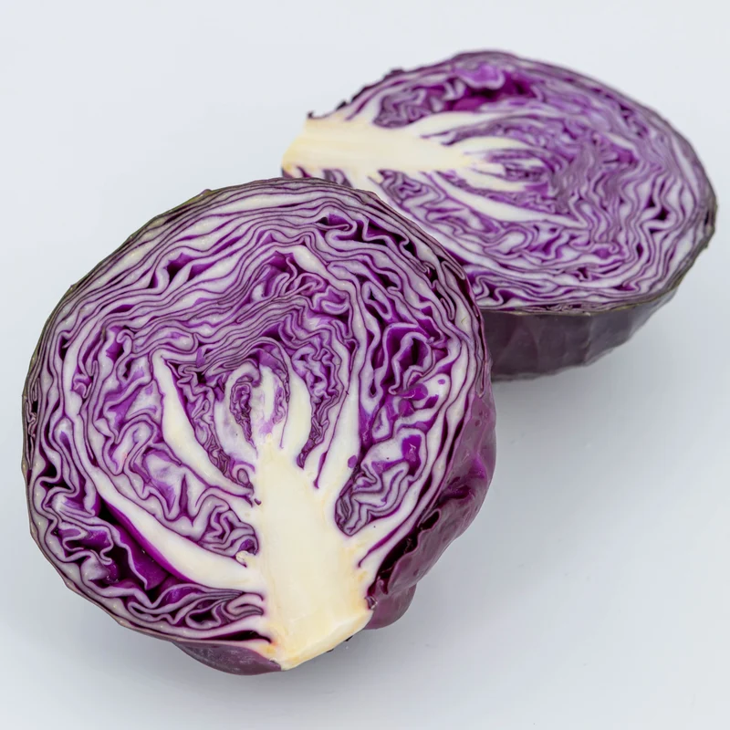 Chou d‘hiver ’Klimaro Rouge F1' ( Brassica oleracea )
