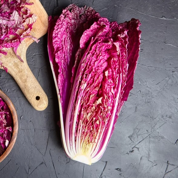 Chou chinois rouge ‘Scansie F1’ ( Brassica rapa )