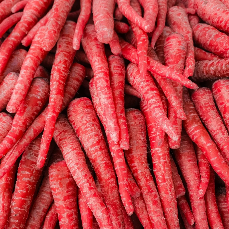 Carotte rouge ‘Malbec’ F1 ( Daucus carota )
