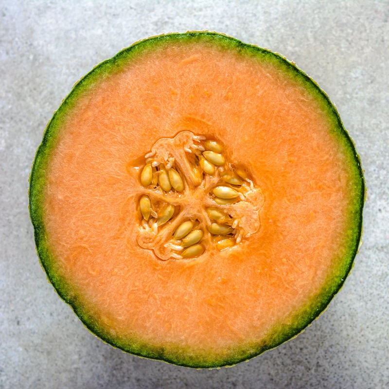 Cantaloup ‘Sugar Cube’ F1 ( Cucumis melo )