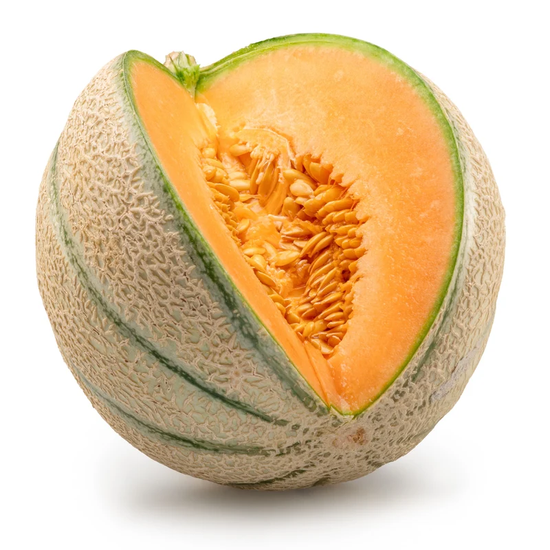 Cantaloup ‘Magnifisweet’ F1 ( Cucumis melo )