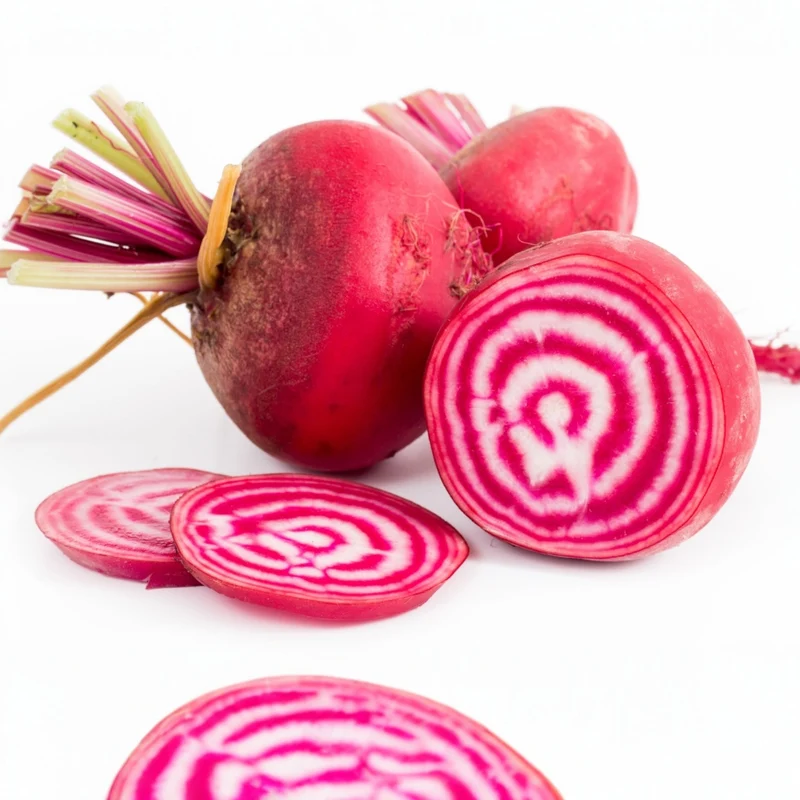 Betterave ‘Chioggia Guardsmark’ bio ( Beta vulgaris )