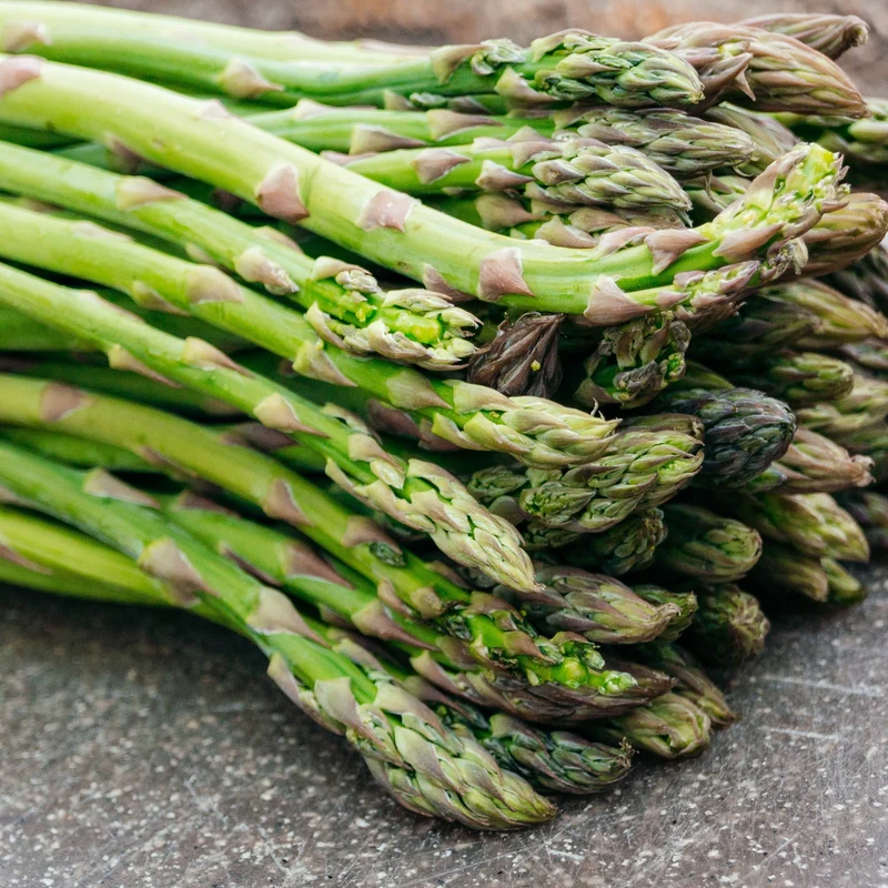 Asperge ‘Guelph Millenium’ ( Asparagus officinalis )