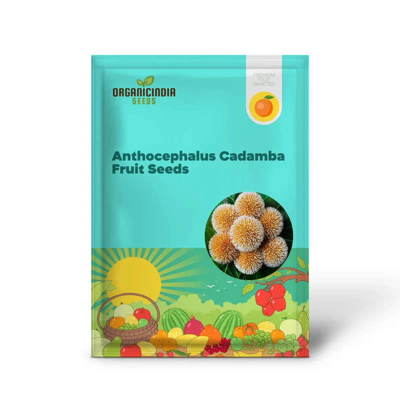 Anthocephalus Cadamba Seeds, Enhance Your Garden with Expert Planting and Gardening Tips for Abundant Fruits and Lush Greenery