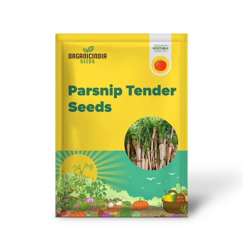 Parsnip Tender and True vegetable Seeds, Heirloom Vegetable Seeds for Home Gardening, High Germination Rate Easy to Grow