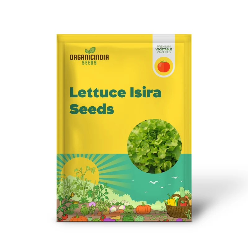 LETTUCE ISIRA Split Pills Seeds, Elevate Your Gardening with Easy-to-Plant, Nutritious Lettuce Varieties!