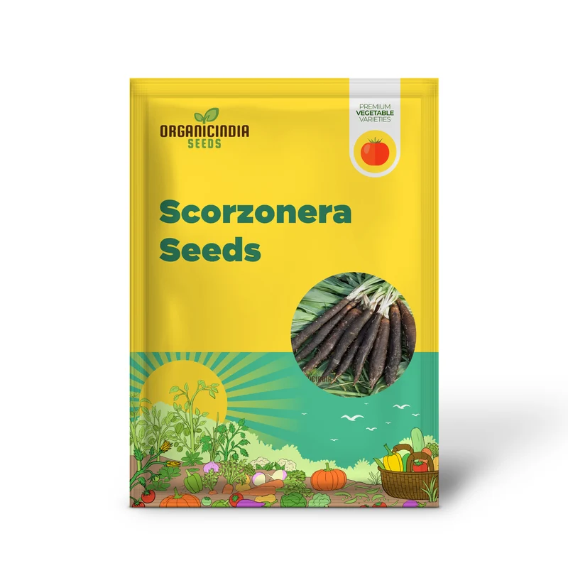 Scorzonera Maxima Vegetable Seeds, Heirloom Nutritious Root Ideal for Gourmet Cooking and Salads