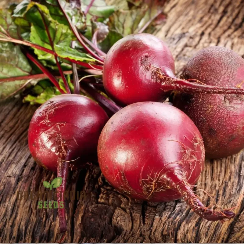 Beetroot - Detroit Dark Red Vegetable Seeds (DDR), High-Yield Heirloom Variety