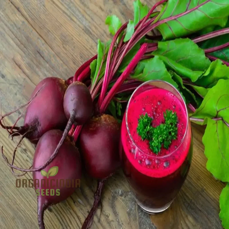 Ruby Queen Beetroot Seeds for a Bountiful Harvest, Expert Gardening Guide: Planting and Growing