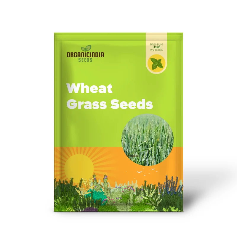 Microgreen Wheat Grass Seeds - Fast Growing, Nutrient-Rich, Perfect for Indoor Gardens