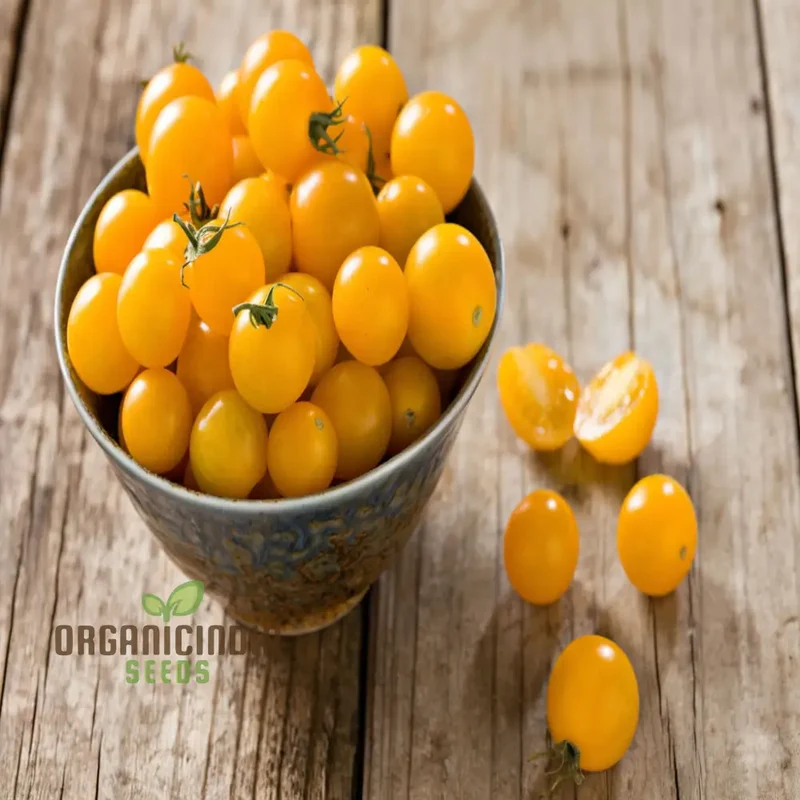 Yellow Cherry Tomato Vegetable Seeds Growing Golden Delights, A Comprehensive Guide to Planting and Gardening