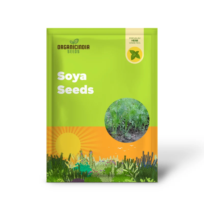 Dill Soya Seeds for Planting – Aromatic Herb for Cooking & Home Gardening