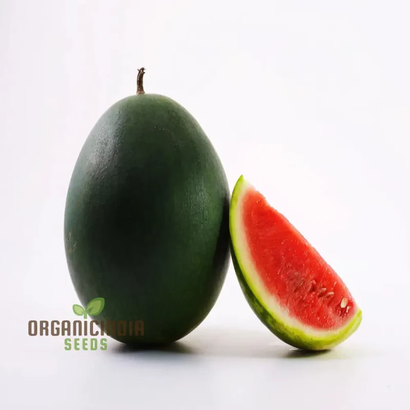 Black-Hybrid Watermelon Seeds: Ideal for Gardening Enthusiasts Looking for Quality Seeds