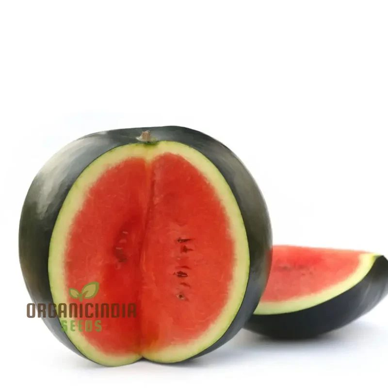 Black-Hybrid Watermelon Seeds: Ideal for Gardening Enthusiasts Looking for Quality Seeds