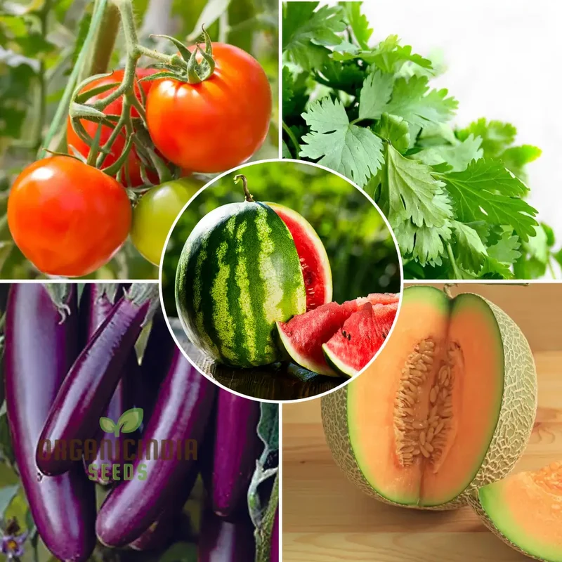 OrganicIndiaSeeds Mixed Summer Seed Kit