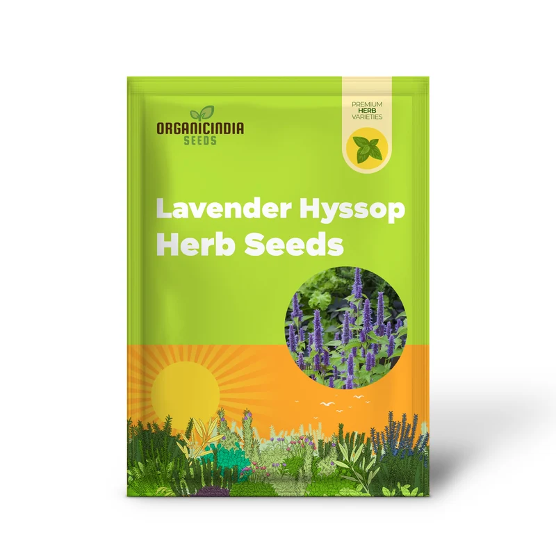 Organic Lavender Hyssop Seeds – Aromatic, Medicinal, Bee-Friendly Herb for Garden