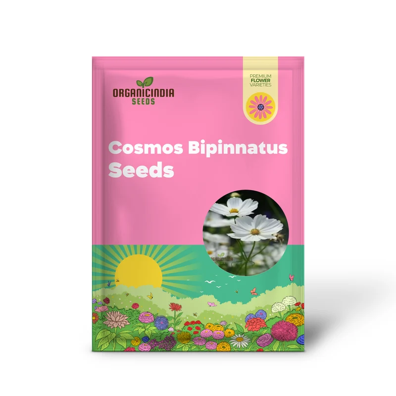 Flower Gardening with Cosmos Bipinnatus, A Complete Guide to Planting and Growing White Cosmos Seeds